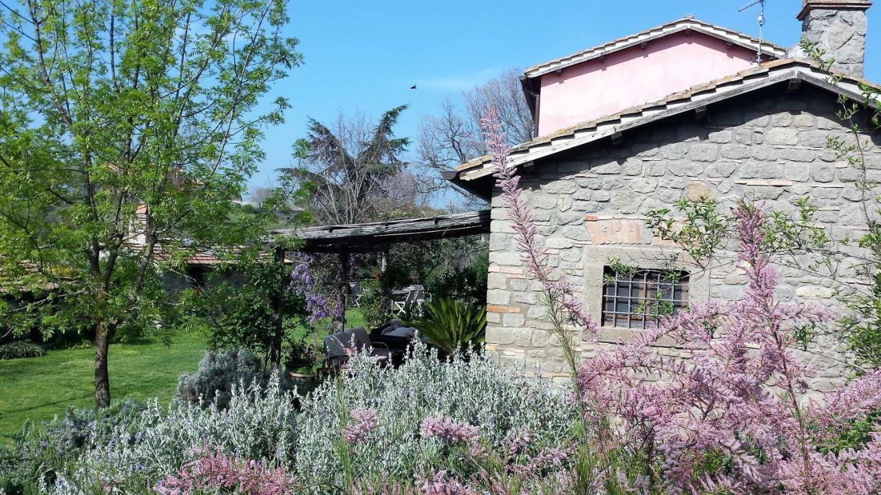 Il Casale Alle Farine Viterbo Bagian luar foto